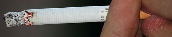 Кэтрин Синицына фотография #26 (источник - https://vk.com/id8388317)