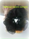 Дрібниці Гарного фотография #35 (источник - https://vk.com/id155225452)