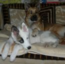 Фотография Шапочкиной Наталии