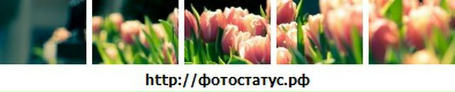 Юлія Довгань фотография #38 (источник - https://vk.com/id77696009)