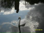 Ігор Гаврилов фотография #6 (источник - https://vk.com/id21385642)