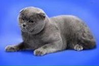 Фотография Владимировны Галины