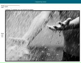 Фотография Погодиной-Шелест Юлии