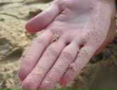 Людмила Чернова фотография #46 (источник - https://vk.com/id4906022)