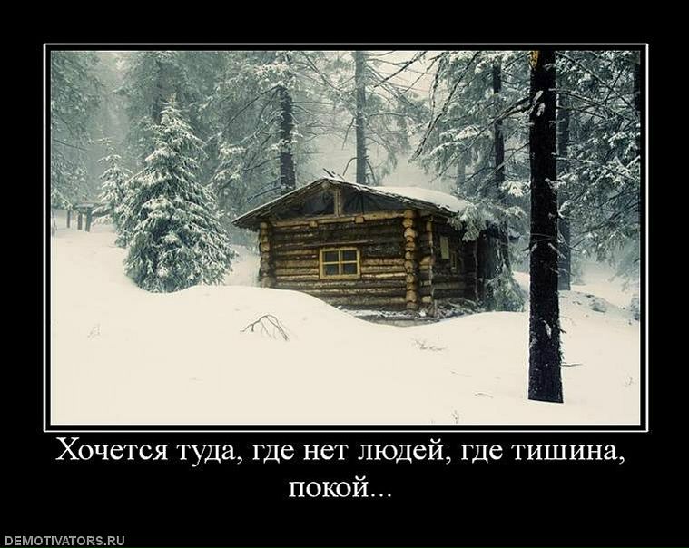 Сергей Шампаров фото №15