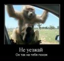 Сергій Климчук фотография #11 (источник - https://vk.com/id41641264)
