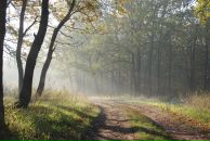 Михаил Яковлев фотография #13 (источник - https://vk.com/id2403530)