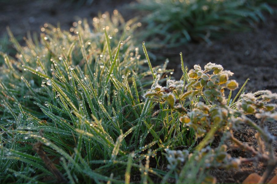 Михаил Яковлев фото №20