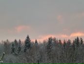 Иван Самуленков фотография #31 (источник - https://vk.com/id6062893)