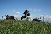 Фотография Кривоногова Максима