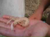 Ігор Стечак фотография #50 (источник - https://vk.com/id10974319)