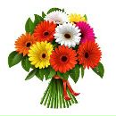 Надя Господаренко фотография #9 (источник - https://vk.com/id108330834)