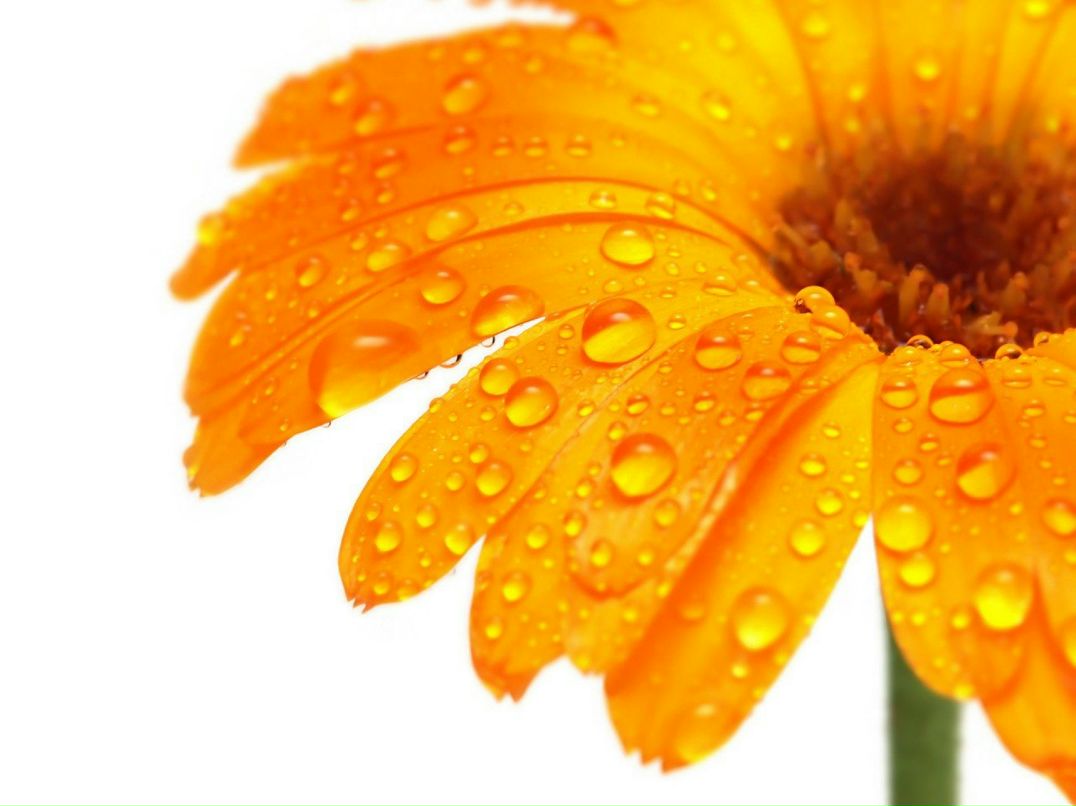 Элин Ш фотография #2