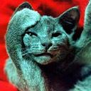 Фотография Самриновой Виолетты