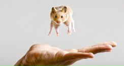 Фотография Путинцевой Елены