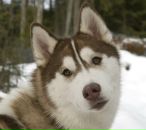 Дима Пилипчук фотография #18 (источник - https://vk.com/id20813129)