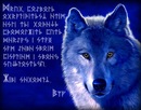 Фотография Кожемякина Андрея