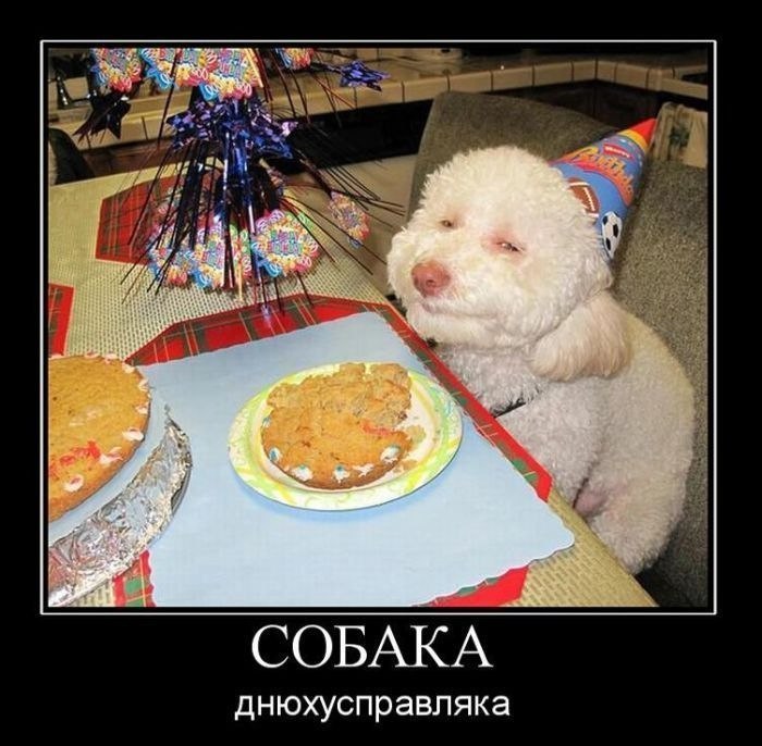 Валера Simply фотография #35
