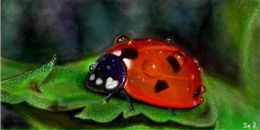 Людік Поліщук фотография #3 (источник - https://vk.com/id101628538)