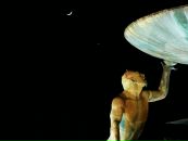 Виктор Скок фотография #15 (источник - https://vk.com/id13503162)