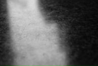 Bruce Raw фотография #5 (источник - https://vk.com/id629149)