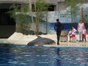 Надя Кіданецька фотография #5 (источник - https://vk.com/id103553217)