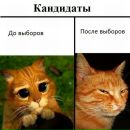 Константин Судаков фотография #4 (источник - https://vk.com/id1833642)