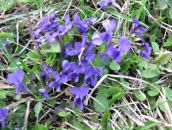 Віктор Бевза фотография #15 (источник - https://vk.com/id71881935)