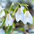 Фотография Суртаевой Ольги