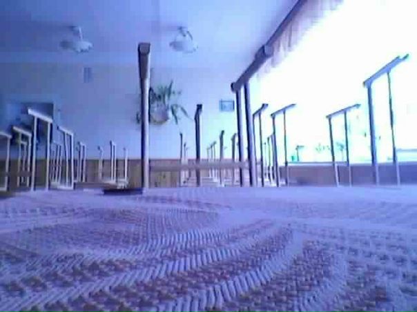 Wormer Четвертий фото №2