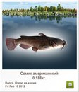 Людмила Бабікова фотография #47 (источник - https://vk.com/id155289329)