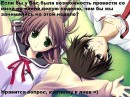 Неко ^_^ фотография #50 (источник - https://vk.com/id64327644)