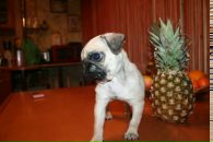 Фотография Гаффановой Елены