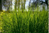 Фотография Кругловой Татьяны