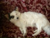 Фотография Бережной Ирины