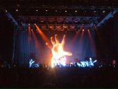 Александр Касьяненко фотография #1