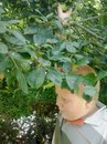 Давид Афанасьєв фотография #49 (источник - https://vk.com/id161537703)