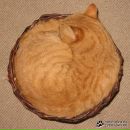 Ольга Андрианова фотография #29 (источник - https://vk.com/id3268716)