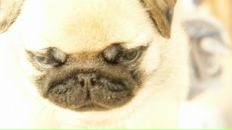 Фотография Strobel Aleksandra