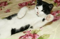 Фотография Бойковой Ольги