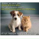 Софія Жук фотография #8 (источник - https://vk.com/id116044644)