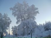 Фотография Катаного Юры