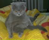 Фотография Просторядина Александра