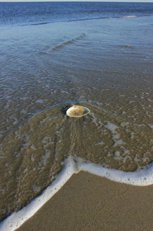 Глеб Петров фотография #34