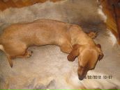 Александріна Попеску фотография #28 (источник - https://vk.com/id140608025)