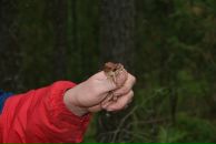 Павел Волк фотография #43 (источник - https://vk.com/id470503)