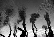 Фотография Калинджи Александры