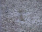 Уляна Андрійчук фотография #18 (источник - https://vk.com/id59841468)